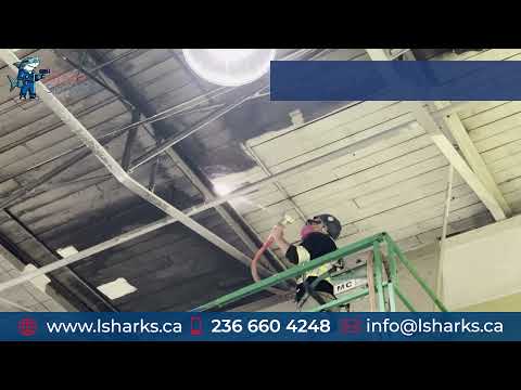 Smoke Damage Restoration by Laser Sharks