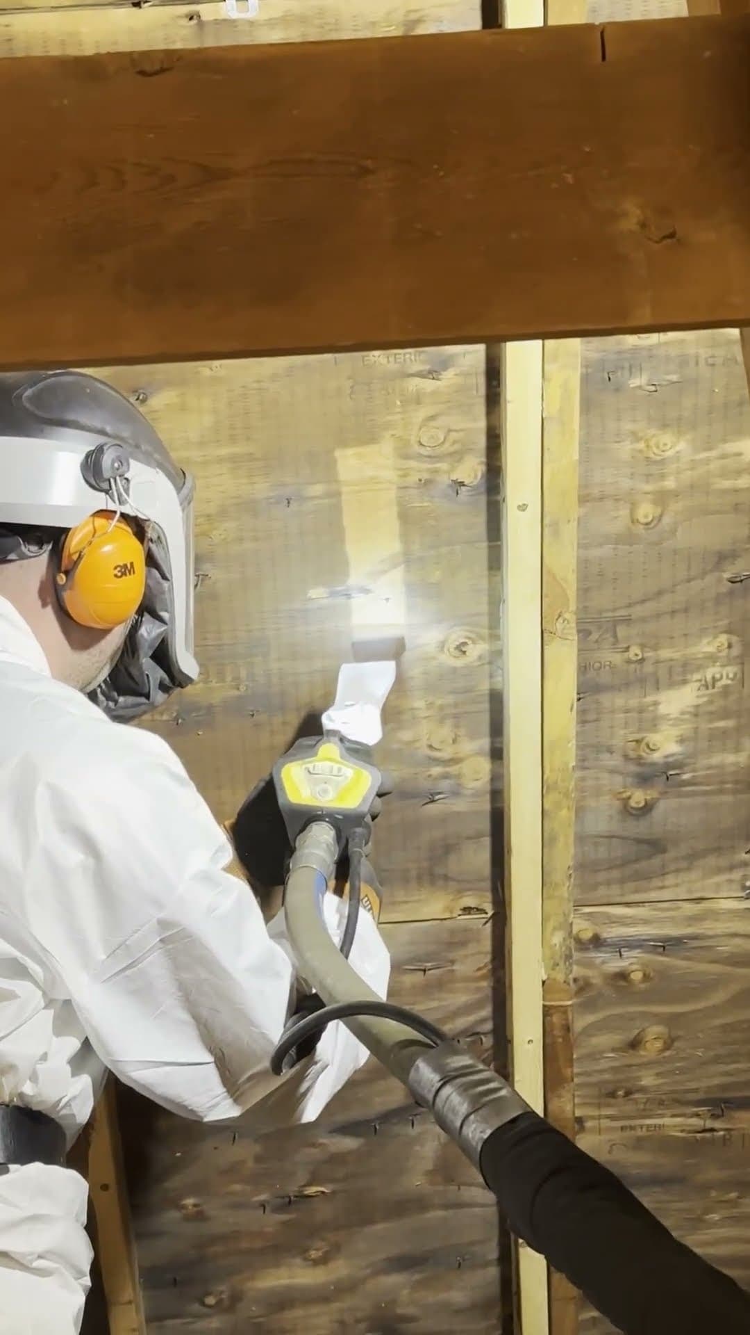 Mold Removal on the Roof with Dry Ice Blasting
