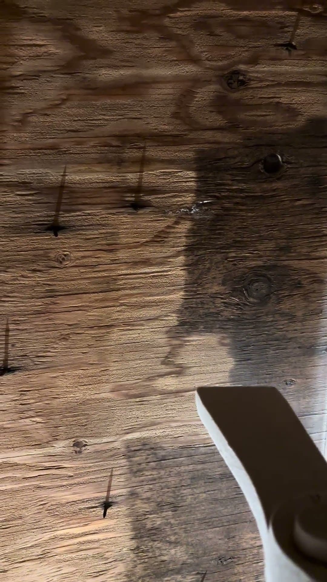 Mold Removal with Dry Ice Blasting